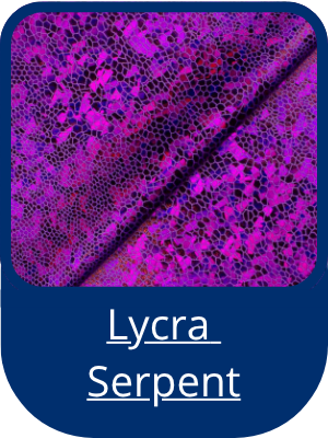 lycra serpent
